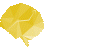 Design By